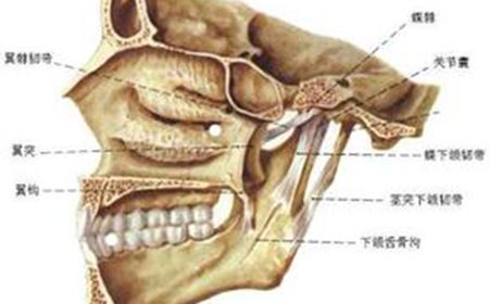 关节炎疾病的分类到底有哪些呢